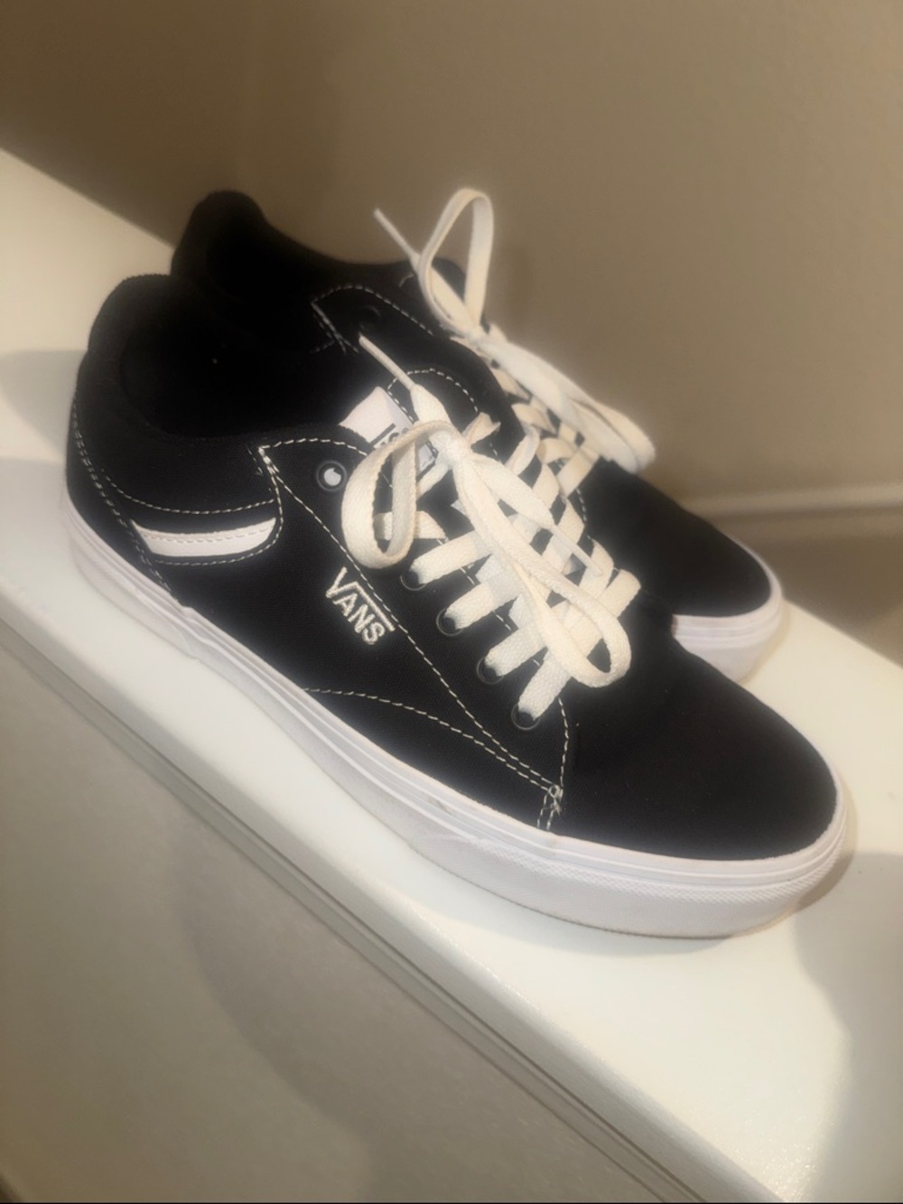 Vans Black and White Low-Top Skate Sneakers